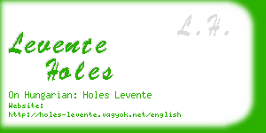 levente holes business card